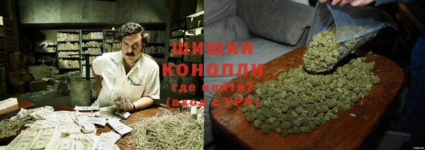 ПСИЛОЦИБИНОВЫЕ ГРИБЫ Лиски