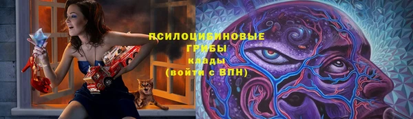ПСИЛОЦИБИНОВЫЕ ГРИБЫ Лиски